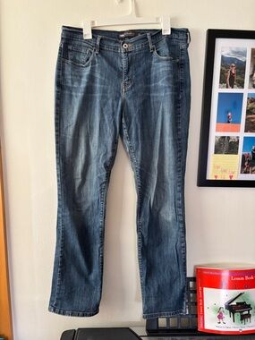 Levi’s Classic Women's Blue Jeans - Comfortable Straight Fit